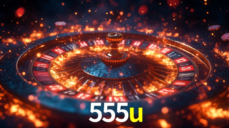 555u App Interface